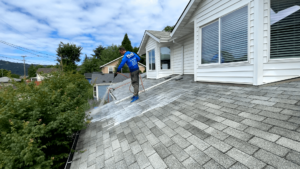 roof cleaning in portland