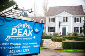 Peak Pressure washing services in oregon