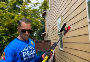 cleaning moss off siding in portland