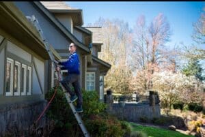 Essential Tips for Solar Panel Cleaning in Portland