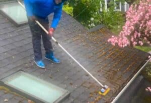 Effective Moss Removal in Portland: A Homeowner’s Guide