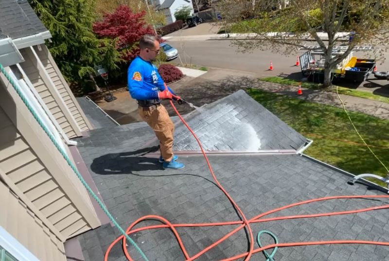 Is Pressure Washing Safe for Homes With Pets and Small Children